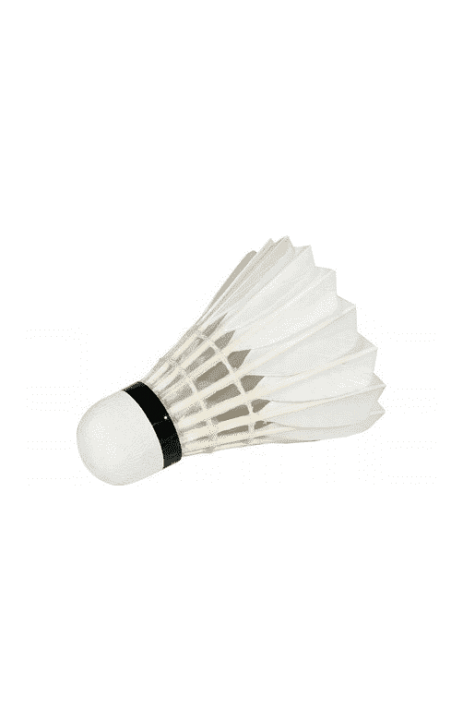 Victor Master Ace 12szt